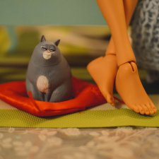 Кошка и очки