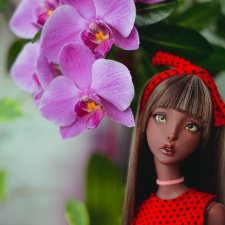 Немного обо всем