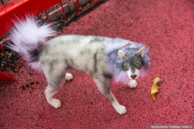 Так бывает — Фотоистории с куклами BJD (БЖД): сериалы (фото 7)