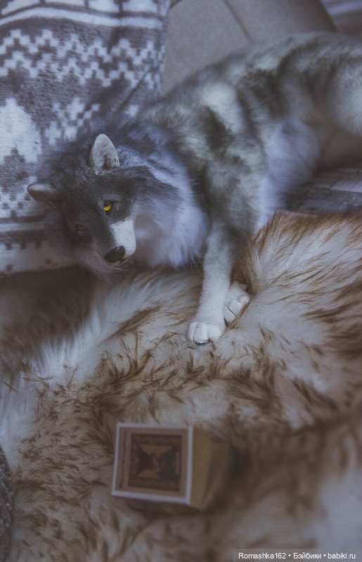 Пора двигаться дальше — Фотоистории с куклами BJD (БЖД): сериалы (фото 4)