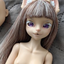 Продам кошку мсд UfDoll