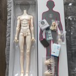 Продам тело ufdoll 70  в нормале