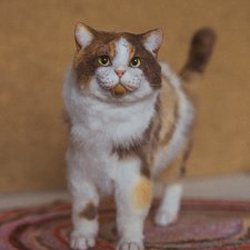 Продам кошечку от Vasifox