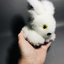 Зайчик из норки Зайчик из норки