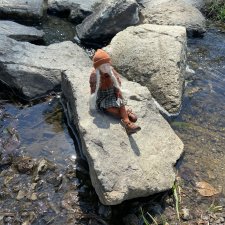 Обычная прогулка .