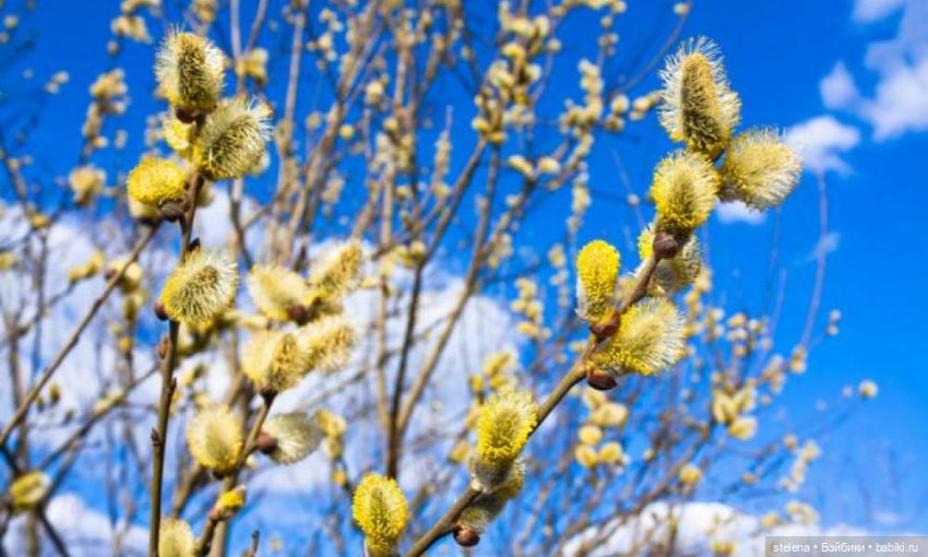 Наряд для кукол Little Darling от Дианы Эффнер
