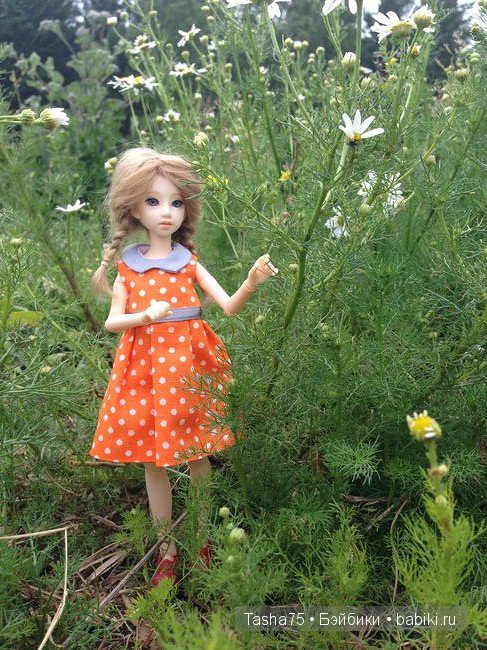 Ася и ромашки — Гибриды шарнирных кукол (не БЖД): подбор тела