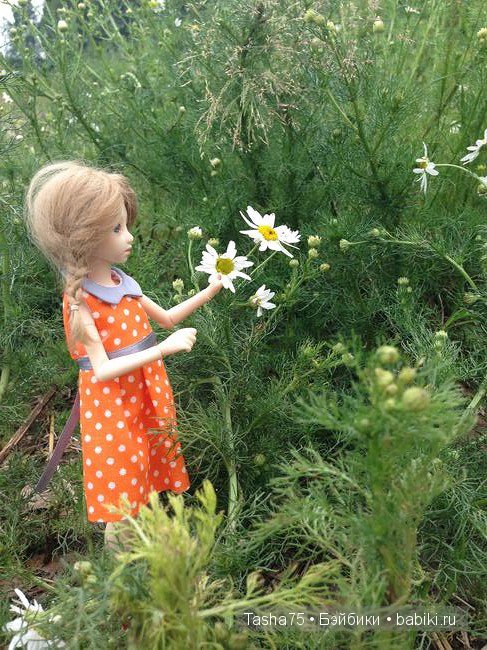 Ася и ромашки — Гибриды шарнирных кукол (не БЖД): подбор тела (фото 2)