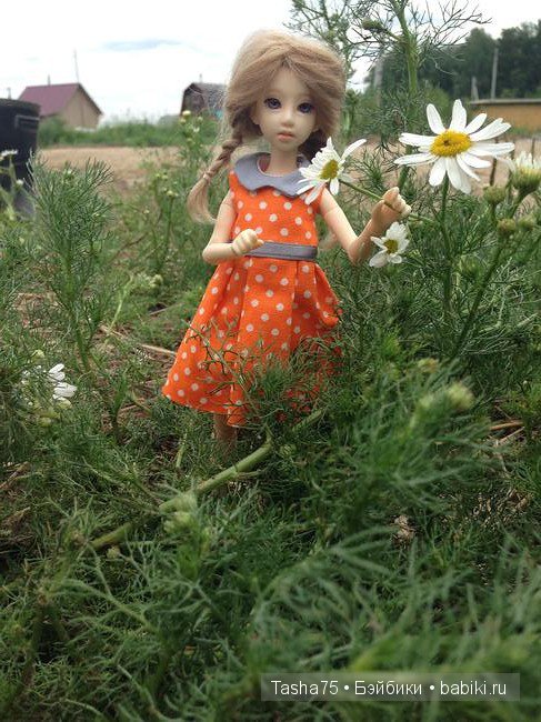 Ася и ромашки — Гибриды шарнирных кукол (не БЖД): подбор тела (фото 3)