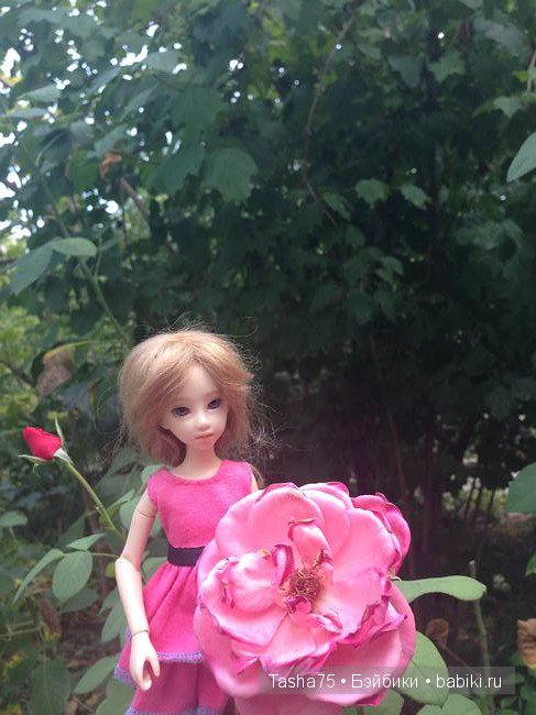 Путешествие. Крым. Честь первая - Ялта. Много фото