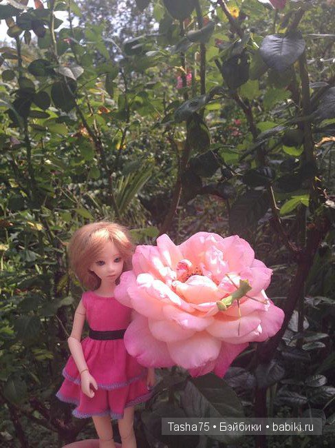 Путешествие. Крым. Честь первая - Ялта. Много фото