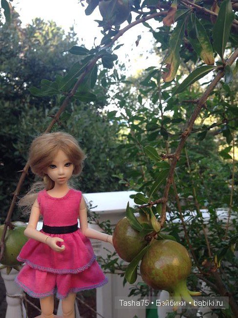 Путешествие. Крым. Честь первая - Ялта. Много фото