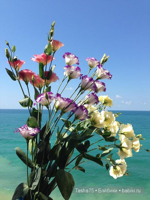 Путешествие. Крым. Честь вторая - Севастополь. Много фото