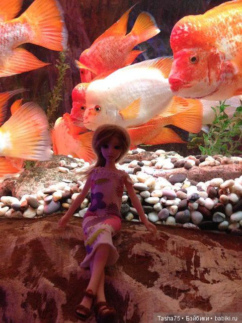 Путешествие. Крым. Честь третья - Евпатория и... Много фото (фото 8)