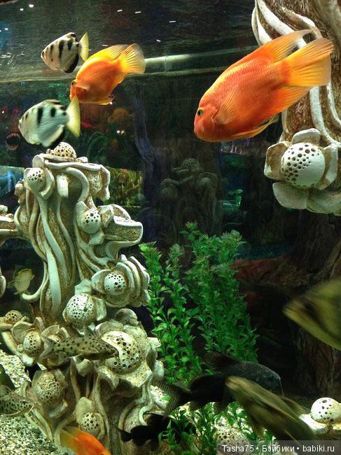 Путешествие. Крым. Честь третья - Евпатория и... Много фото