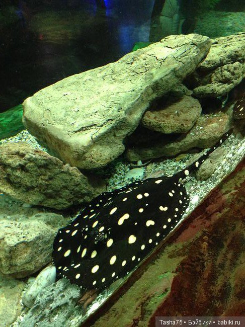 Путешествие. Крым. Честь третья - Евпатория и... Много фото