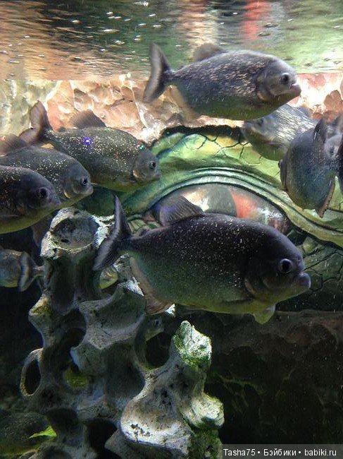 Путешествие. Крым. Честь третья - Евпатория и... Много фото