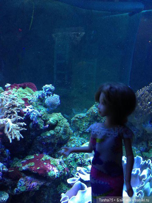 Путешествие. Крым. Честь третья - Евпатория и... Много фото