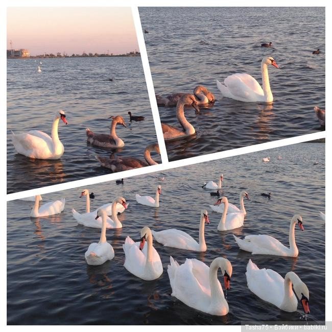 Путешествие. Крым. Честь третья - Евпатория и... Много фото