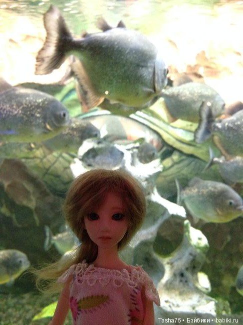 Путешествие. Крым. Честь третья - Евпатория и... Много фото