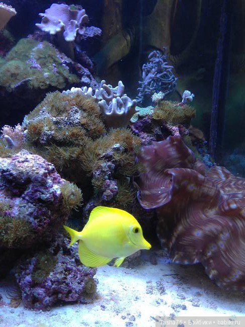 Путешествие. Крым. Честь третья - Евпатория и... Много фото