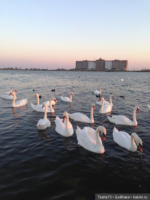 Путешествие. Крым. Честь третья - Евпатория и... Много фото