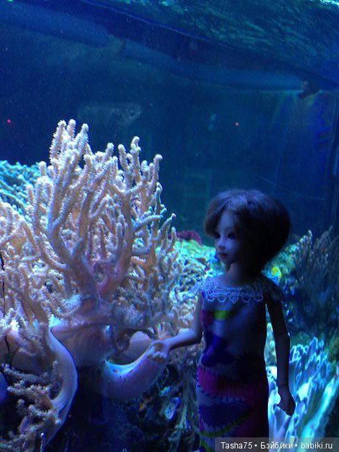 Путешествие. Крым. Честь третья - Евпатория и... Много фото