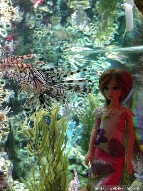 Путешествие. Крым. Честь третья - Евпатория и... Много фото