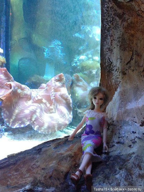 Путешествие. Крым. Честь третья - Евпатория и... Много фото (фото 9)