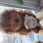 Коллекция Life