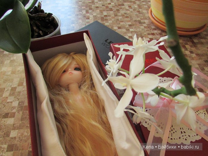 Все в первый раз! Василиса от Leekeworld (фото 5)