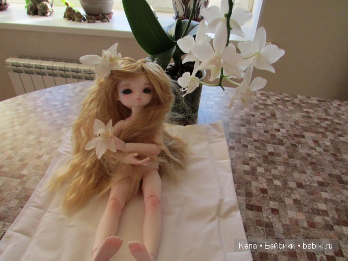 Все в первый раз! Василиса от Leekeworld