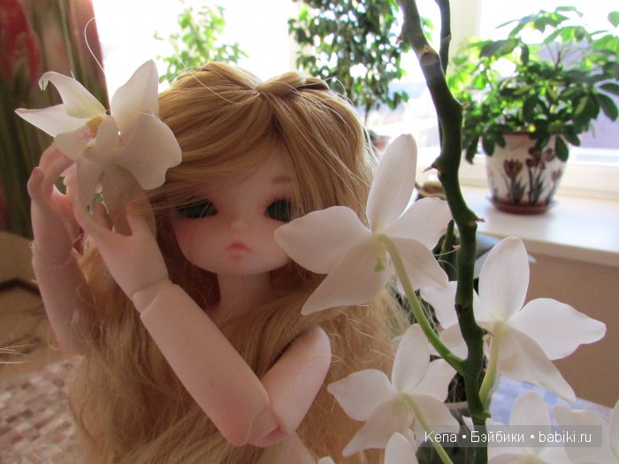 Все в первый раз! Василиса от Leekeworld