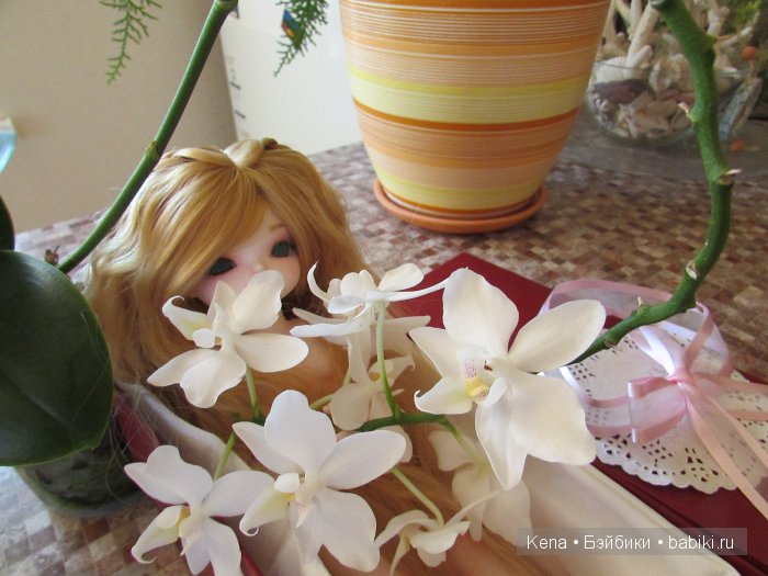 Все в первый раз! Василиса от Leekeworld (фото 6)