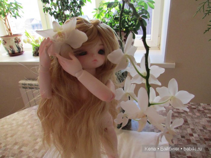 Все в первый раз! Василиса от Leekeworld