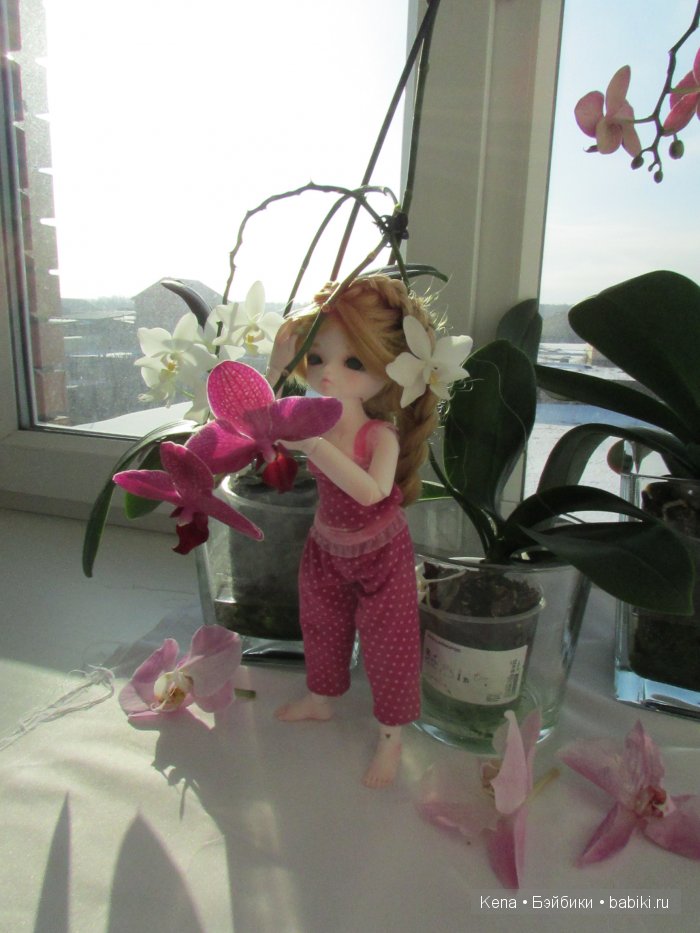 Все в первый раз! Василиса от Leekeworld