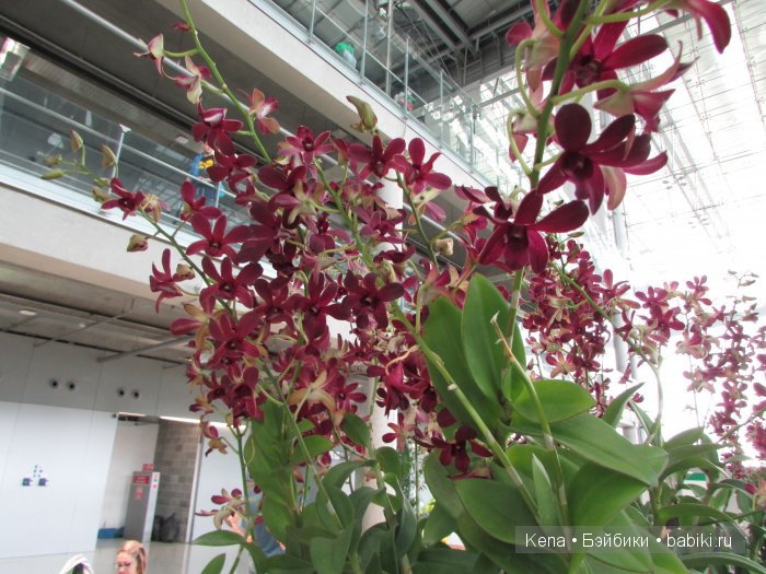 Весна, Цветочный принт, Солнце и море (фото 2)