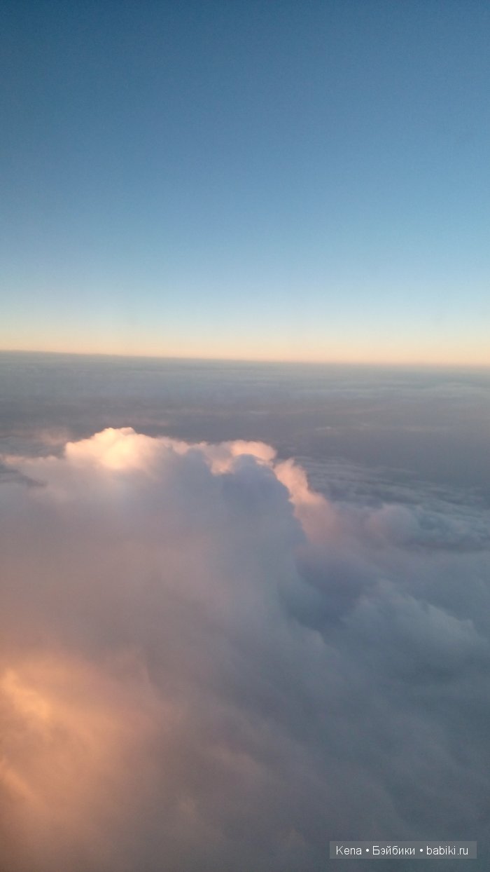 Весна, Цветочный принт, Солнце и море