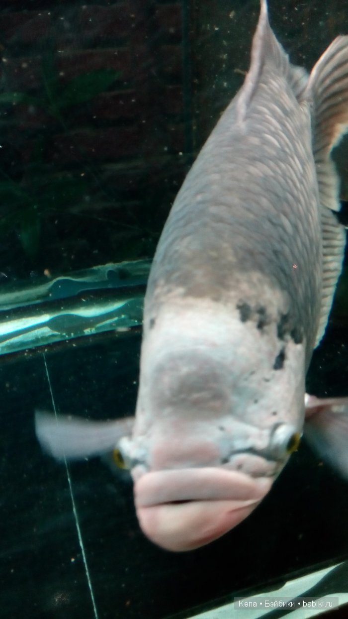 Весна, Цветочный принт, Солнце и море