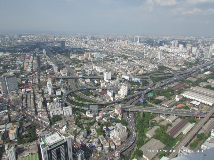 Весна, Цветочный принт, Солнце и море