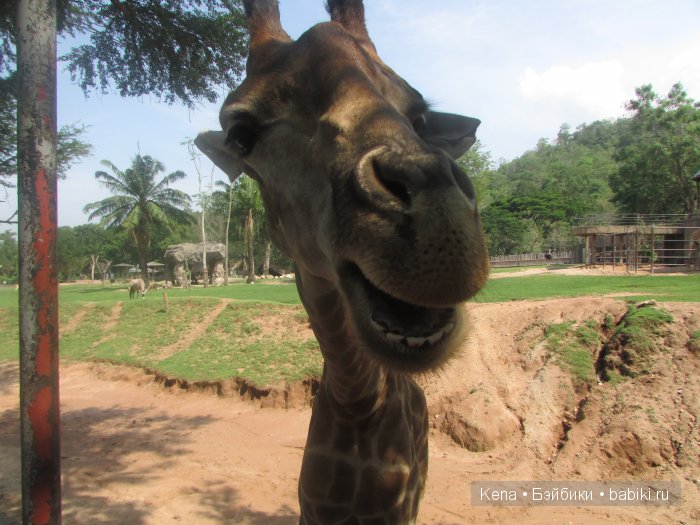 Весна, Цветочный принт, Солнце и море