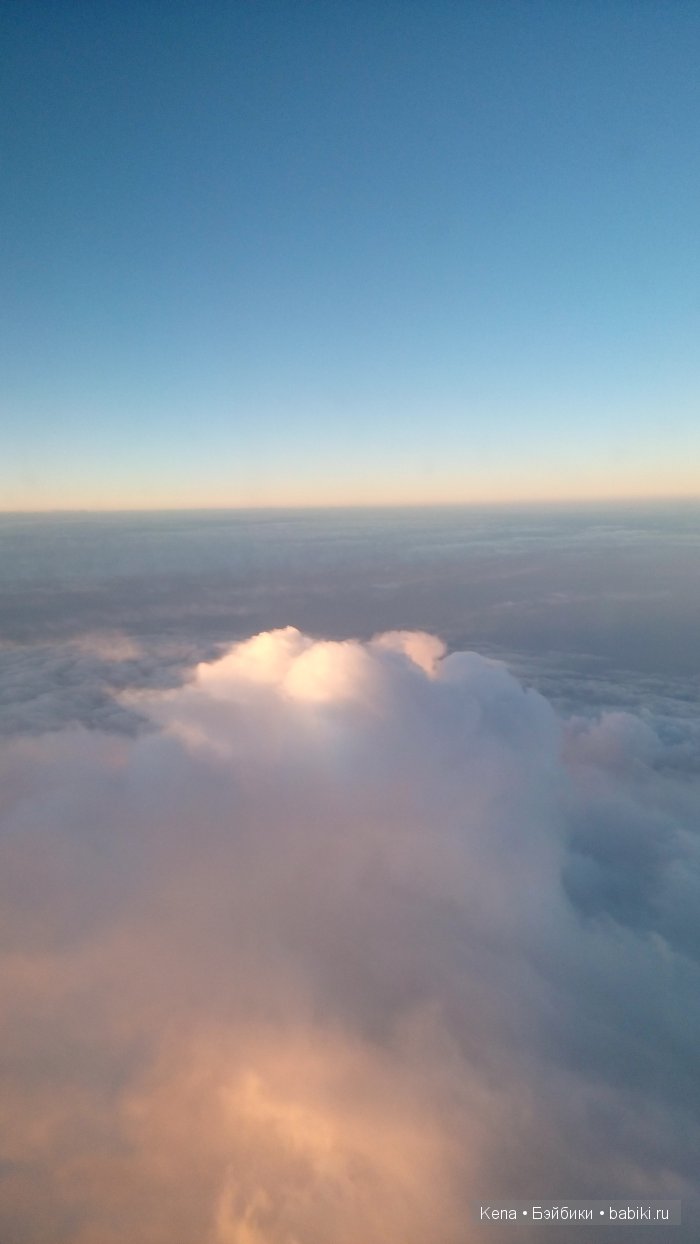 Весна, Цветочный принт, Солнце и море