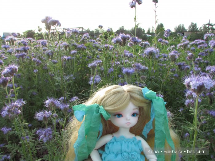 Так проходит наше лето!!! Василиса от Leekeworld