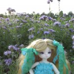 Так проходит наше лето!!! Василиса от Leekeworld