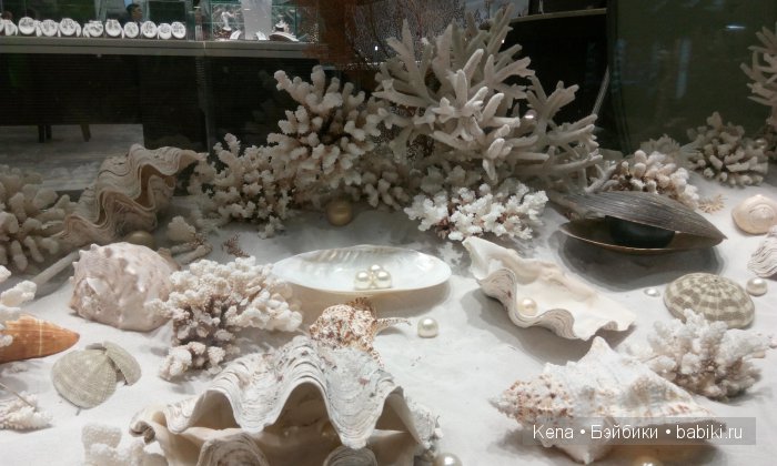 Моя жемчужинка Dolls Town Deogi (фото 5)