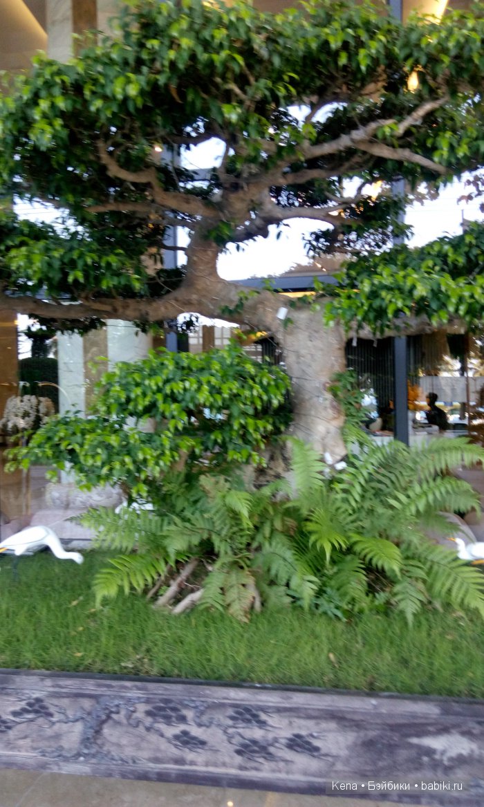 Яркие мгновения лета + Deogi Dollstown (фото 10)