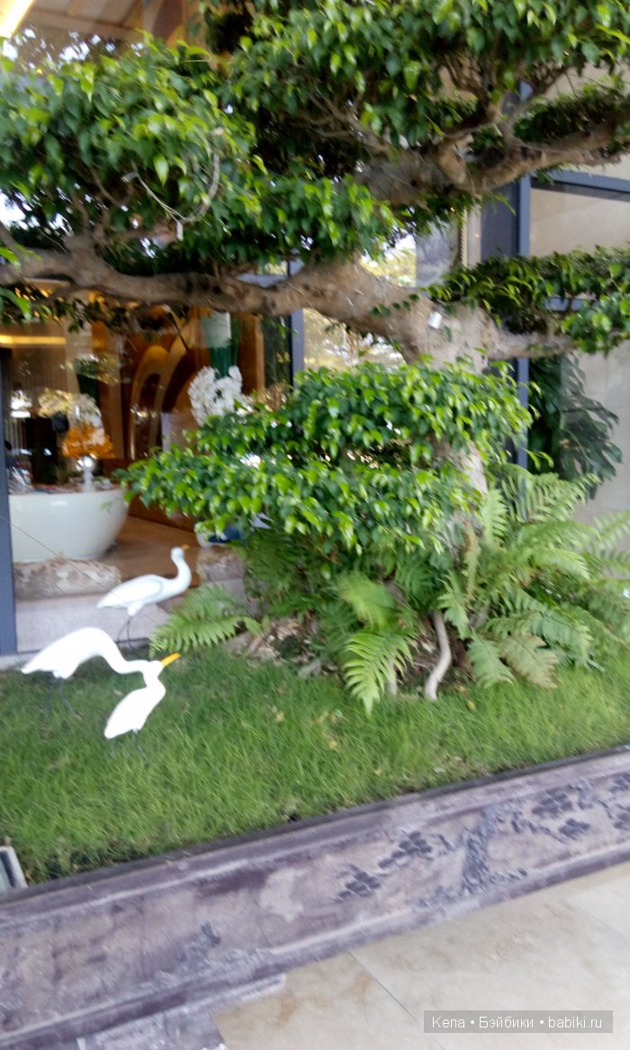 Яркие мгновения лета + Deogi Dollstown (фото 9)