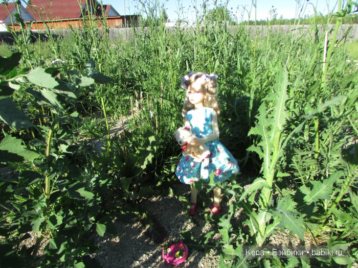 Яркие мгновения лета + Deogi Dollstown