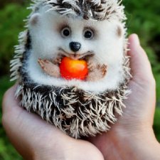 Ёжик Топотыш