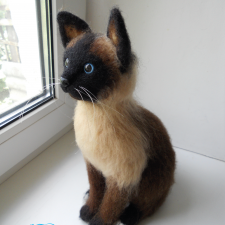 Сиамская кошечка Симона